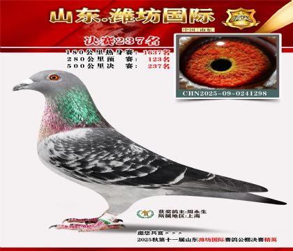 Ϋ�����ʾ���237��