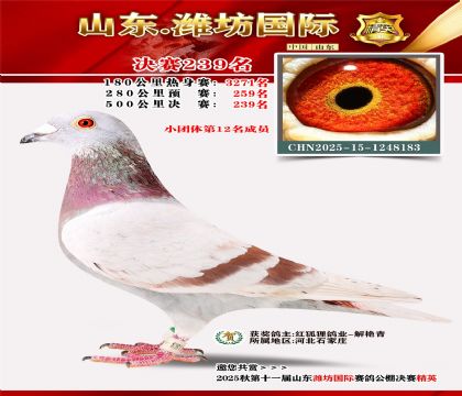 Ϋ�����ʾ���239��