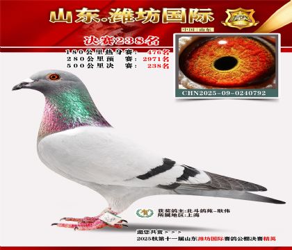 Ϋ�����ʾ���238��