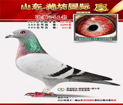 Ϋ�����ʾ���241��