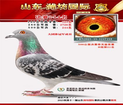 Ϋ�����ʾ���244��