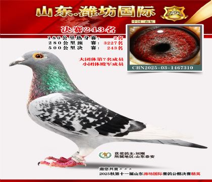 Ϋ�����ʾ���243��