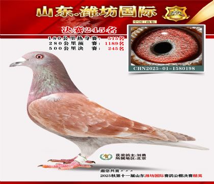 Ϋ�����ʾ���245��