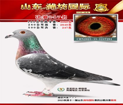 Ϋ�����ʾ���247��