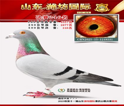 Ϋ�����ʾ���246��