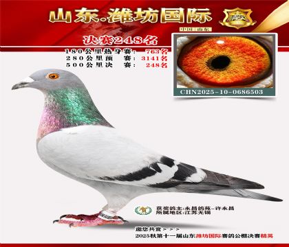 Ϋ�����ʾ���248��