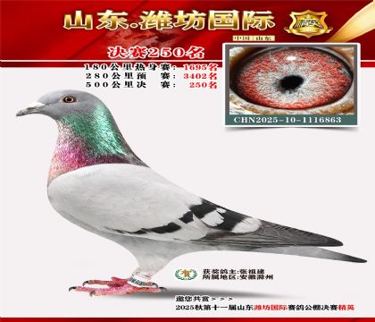 Ϋ�����ʾ���250��