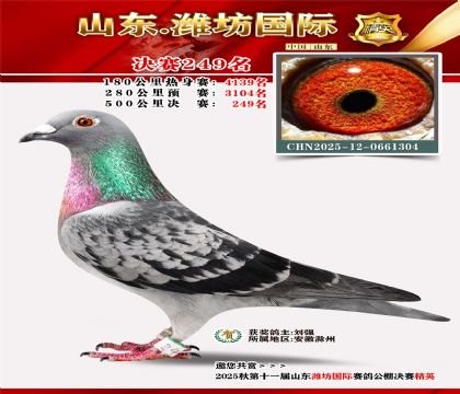 Ϋ�����ʾ���249��