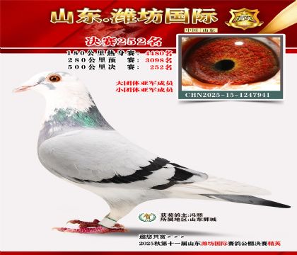 Ϋ�����ʾ���252��