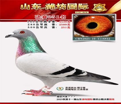 Ϋ�����ʾ���251��