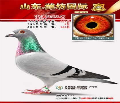 Ϋ�����ʾ���253��