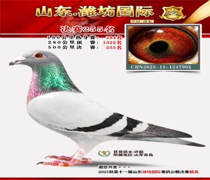 Ϋ�����ʾ���255��