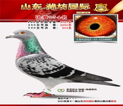 Ϋ�����ʾ���254��