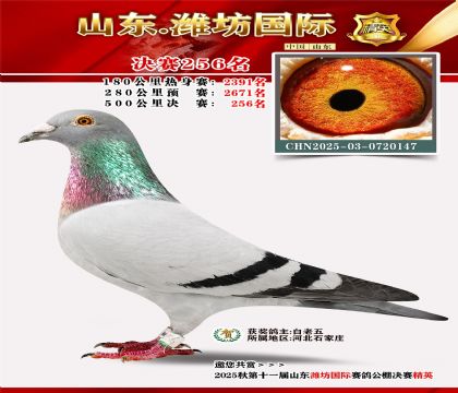 Ϋ�����ʾ���256��