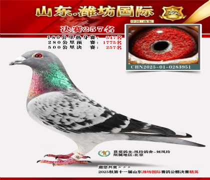 Ϋ�����ʾ���257��