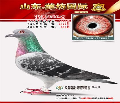 Ϋ�����ʾ���259��