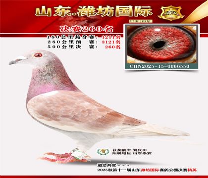 Ϋ�����ʾ���260��