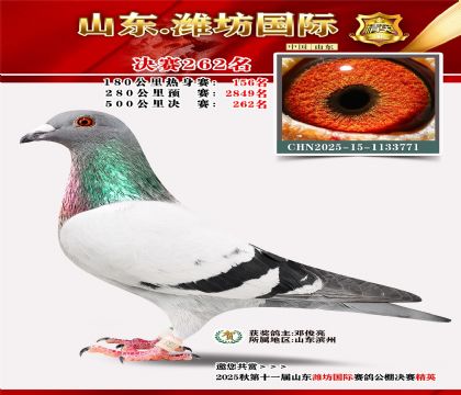 Ϋ�����ʾ���262��