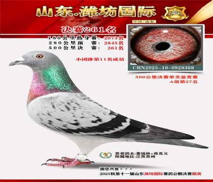 Ϋ�����ʾ���261��