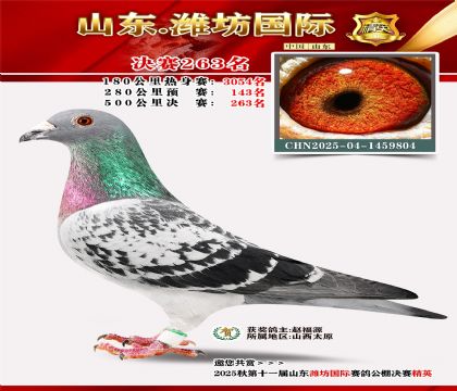 Ϋ�����ʾ���263��