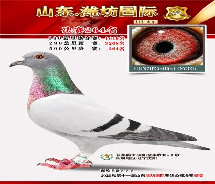 Ϋ�����ʾ���264��