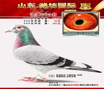 Ϋ�����ʾ���265��