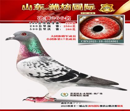 Ϋ�����ʾ���266��