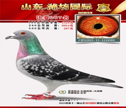 Ϋ�����ʾ���267��