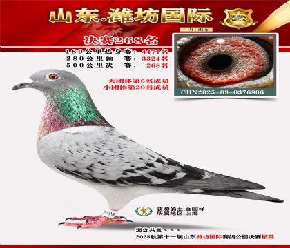 Ϋ�����ʾ���268��