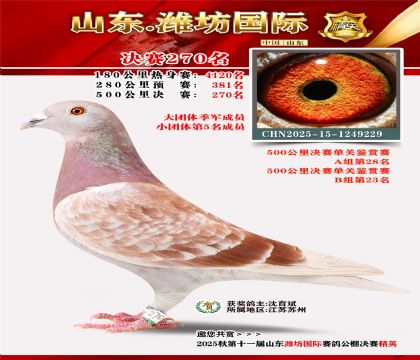 Ϋ�����ʾ���270��