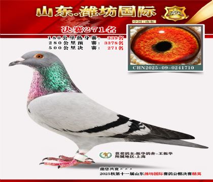 Ϋ�����ʾ���271��