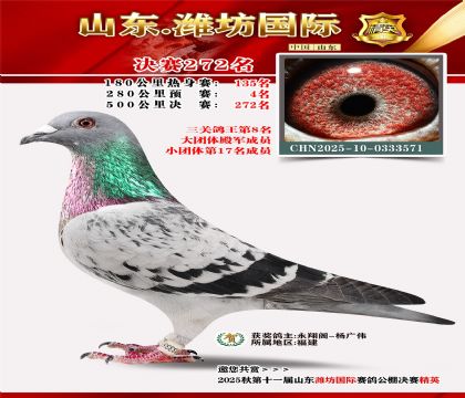 Ϋ�����ʾ���272�������ظ���8����