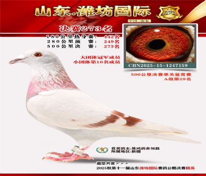 Ϋ�����ʾ���273��