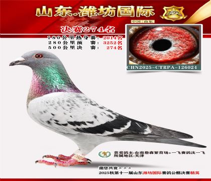 Ϋ�����ʾ���274��