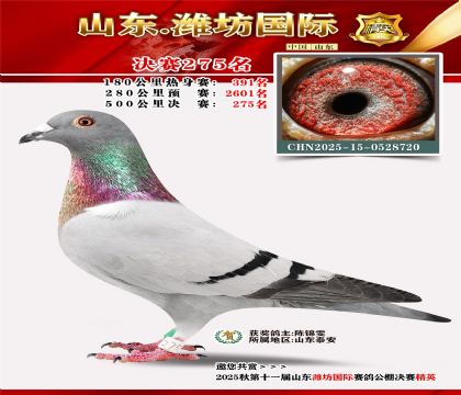 Ϋ�����ʾ���275��