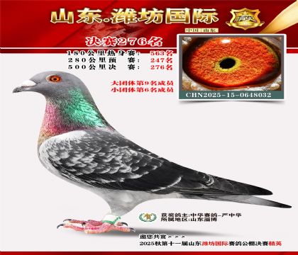 Ϋ�����ʾ���276��