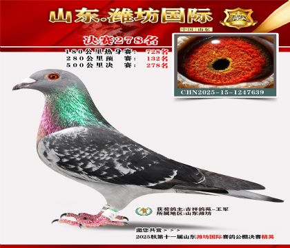 Ϋ�����ʾ���278��