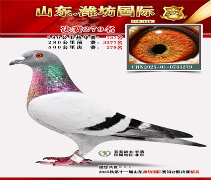 Ϋ�����ʾ���279��