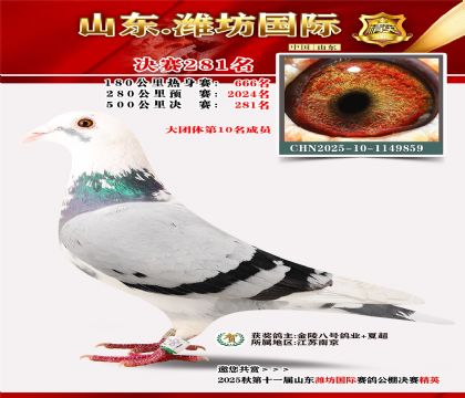 Ϋ�����ʾ���281��