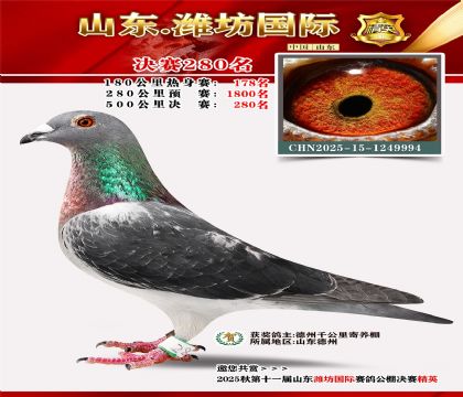 Ϋ�����ʾ���280��