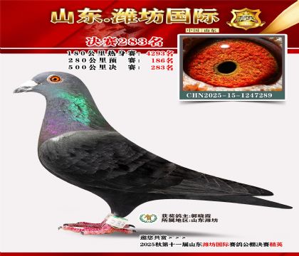 Ϋ�����ʾ���283��