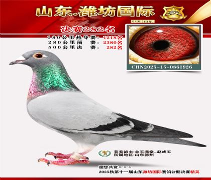 Ϋ�����ʾ���282��