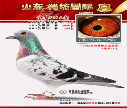 Ϋ�����ʾ���284��