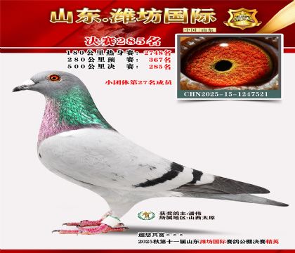 Ϋ�����ʾ���285��