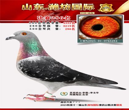 Ϋ�����ʾ���286��