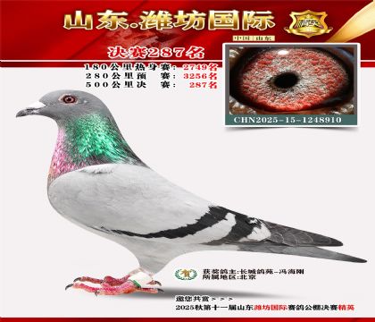 Ϋ�����ʾ���287��