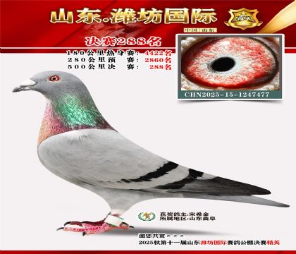 Ϋ�����ʾ���288��