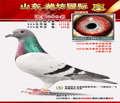 Ϋ�����ʾ���289��