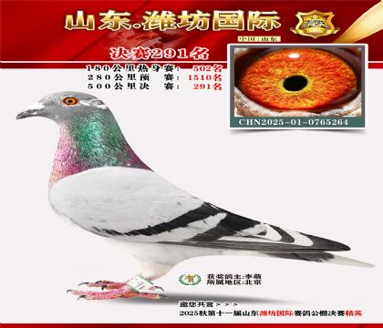 Ϋ�����ʾ���291��