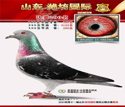 Ϋ�����ʾ���290��